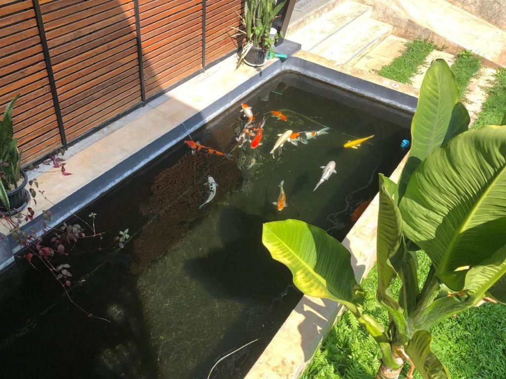 Hotel Palmhouse Mae Hong Son Zewnętrze zdjęcie