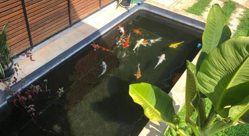Hotel Palmhouse Mae Hong Son Zewnętrze zdjęcie